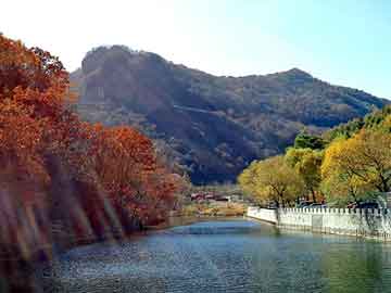 管家婆黑白马报图库，汽油价格